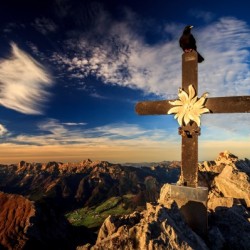a bird on a cross